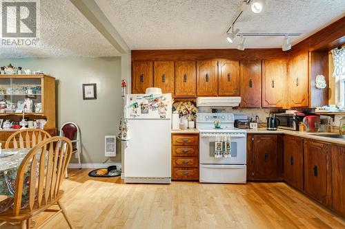 85 Cabot Avenue Extension, Whitbourne, NL - Indoor Photo Showing Kitchen