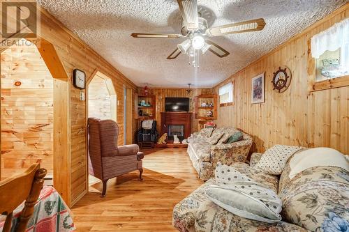 85 Cabot Avenue Extension, Whitbourne, NL - Indoor Photo Showing Living Room