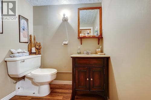 85 Cabot Avenue Extension, Whitbourne, NL - Indoor Photo Showing Bathroom