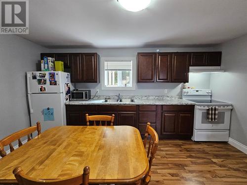 316-318 Main Road, Lewin'S Cove, NL - Indoor Photo Showing Kitchen With Double Sink