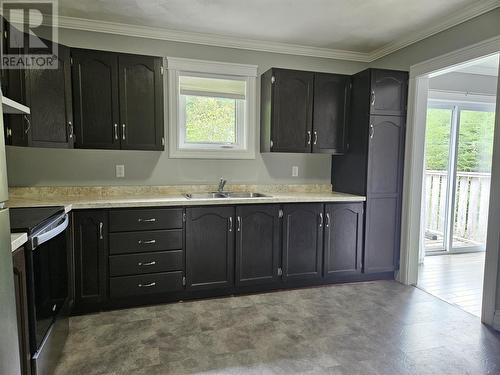 316-318 Main Road, Lewin'S Cove, NL - Indoor Photo Showing Kitchen With Double Sink