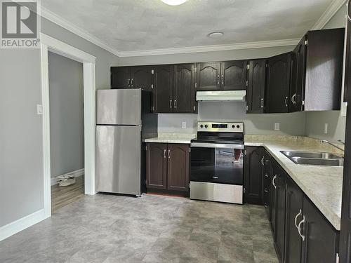 316-318 Main Road, Lewin'S Cove, NL - Indoor Photo Showing Kitchen With Double Sink