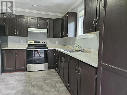 316-318 Main Road, Lewin'S Cove, NL - Indoor Photo Showing Kitchen With Double Sink