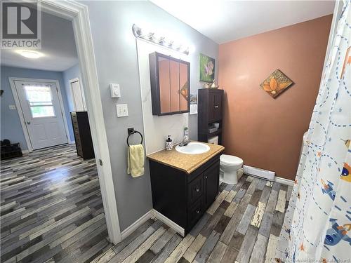 799 Riviere-Verte Road, Saint-Basile, NB - Indoor Photo Showing Bathroom