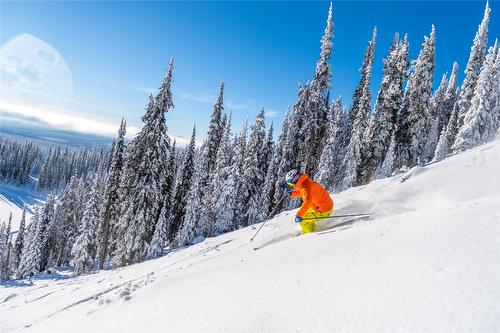 105 Forest Lane, Big White, BC - Outdoor