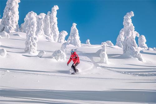 105 Forest Lane, Big White, BC - Outdoor With View