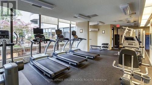 210 - 65 Spring Garden Avenue, Toronto (Willowdale East), ON - Indoor Photo Showing Gym Room