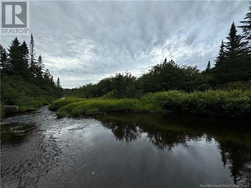 Lot Nicol Lane, Saint John, NB 