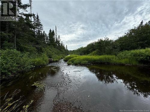 Lot Nicol Lane, Saint John, NB 