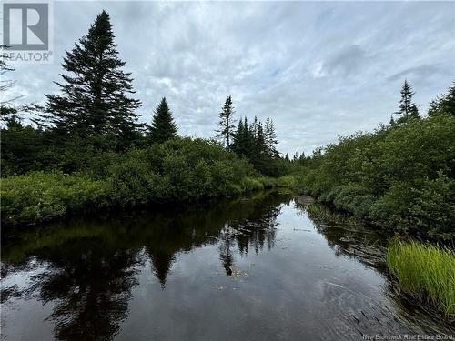 Lot Nicol Lane, Saint John, NB 