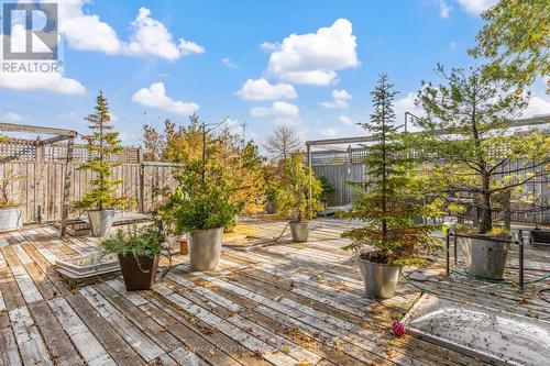 14 & 16 Skey Lane, Toronto (Trinity-Bellwoods), ON - Outdoor With Deck Patio Veranda