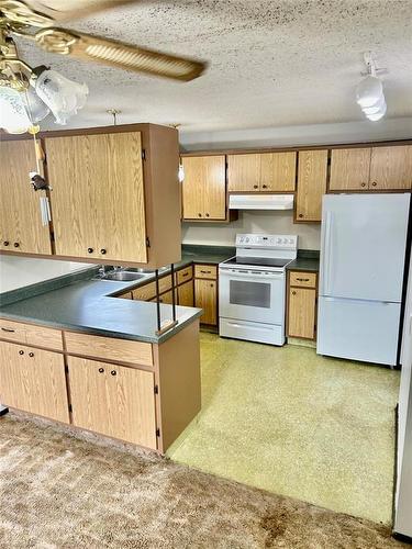 491 Essex Street, Virden, MB - Indoor Photo Showing Kitchen With Double Sink