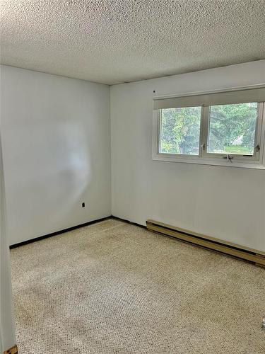 491 Essex Street, Virden, MB - Indoor Photo Showing Other Room