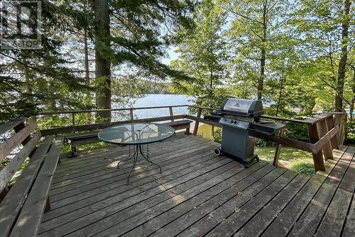 99 Heyden Lake Rd, Aweres Township, ON - Outdoor With Deck Patio Veranda