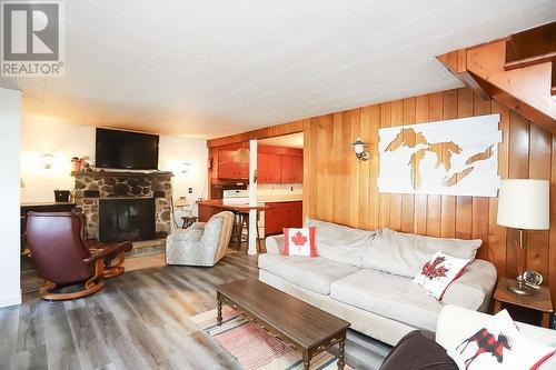 99 Heyden Lake Rd, Aweres Township, ON - Indoor Photo Showing Living Room With Fireplace