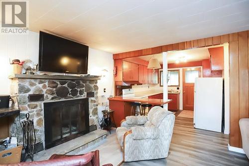 99 Heyden Lake Rd, Aweres Township, ON - Indoor Photo Showing Living Room With Fireplace