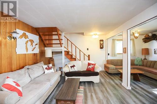 99 Heyden Lake Rd, Aweres Township, ON - Indoor Photo Showing Living Room