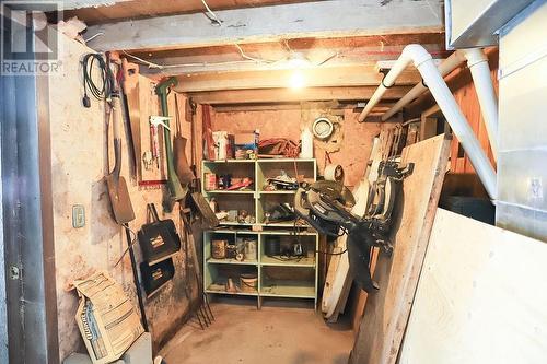 99 Heyden Lake Rd, Aweres Township, ON - Indoor Photo Showing Basement