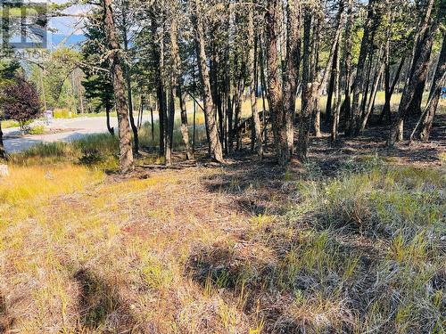 Lot 70 Pineridge Mountain Trail, Invermere, BC 