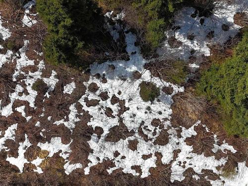 0 East Big Intervale Rd. Roads, North East Margaree, NS 