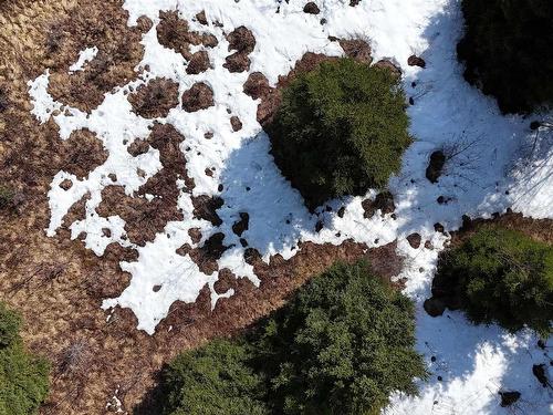 0 East Big Intervale Rd. Roads, North East Margaree, NS 