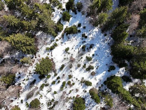 0 East Big Intervale Rd. Roads, North East Margaree, NS 