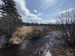 0 East Big Intervale Rd. Roads  North East Margaree, NS B0E 2H0