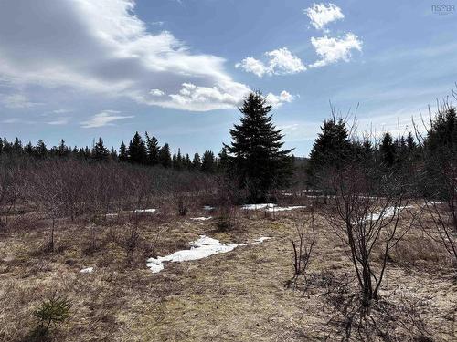 0 East Big Intervale Rd. Roads, North East Margaree, NS 