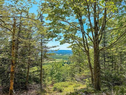 Lot 1 Brow Of Mountain Road, Garland, NS 