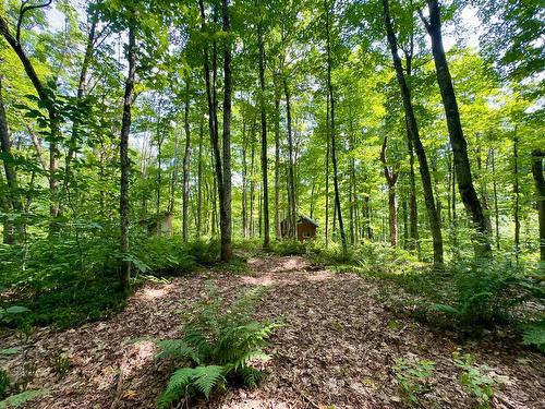 Land/Lot - 48E Ch. Des Limites, Saint-Fabien-De-Panet, QC 