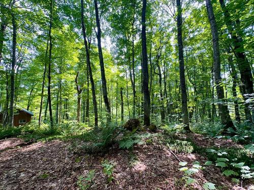 Land/Lot - 48E Ch. Des Limites, Saint-Fabien-De-Panet, QC 