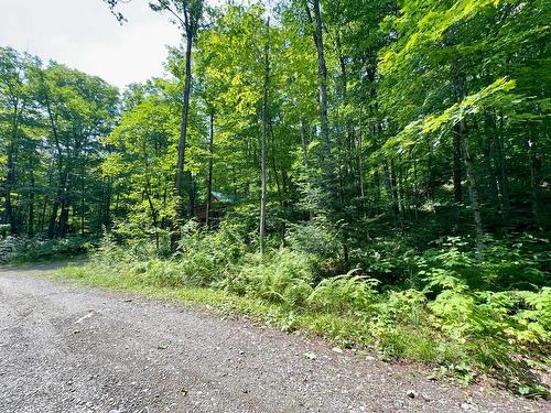 Land/Lot - 48E Ch. Des Limites, Saint-Fabien-De-Panet, QC 