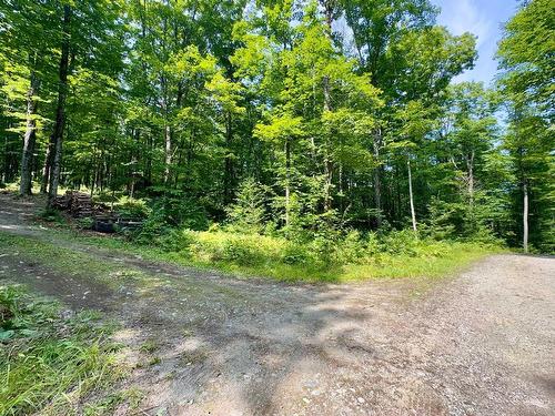 Land/Lot - 48E Ch. Des Limites, Saint-Fabien-De-Panet, QC 