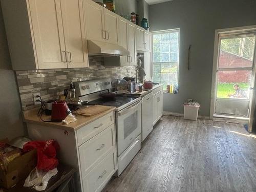 226-228 Cumming Street, Thunder Bay, ON - Indoor Photo Showing Kitchen