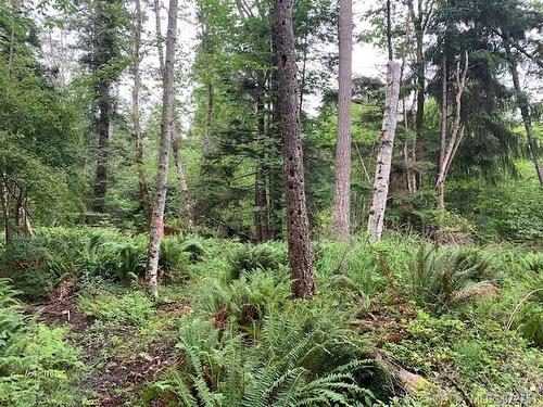 Lot A Wilfred Rd, Black Creek, BC 