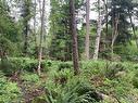 Lot A Wilfred Rd, Black Creek, BC 