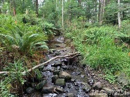 Lot A Wilfred Rd, Black Creek, BC 