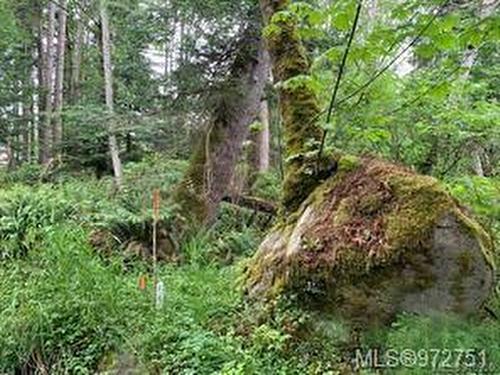 Lot A Wilfred Rd, Black Creek, BC 