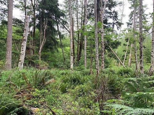 Lot A Wilfred Rd, Black Creek, BC 