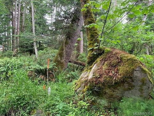 Lot A Wilfred Rd, Black Creek, BC 