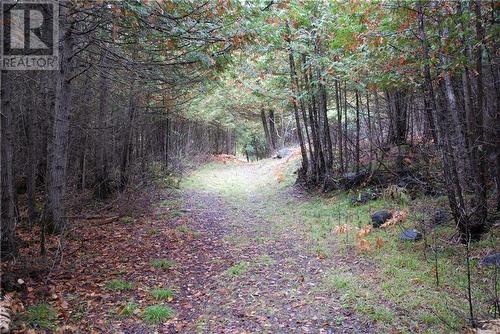 North Street, Lanark, ON 