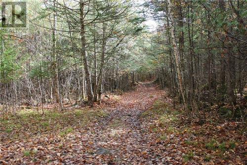 North Street, Lanark, ON 