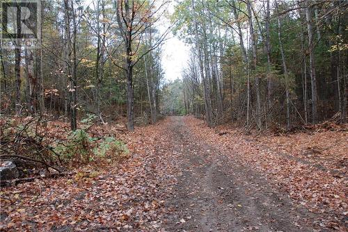 North Street, Lanark, ON 