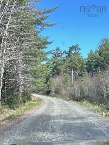 Brier Hill Road, Upper Clyde, NS 