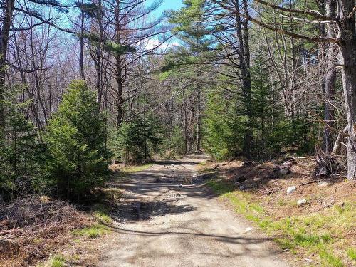 Brier Hill Road, Upper Clyde, NS 