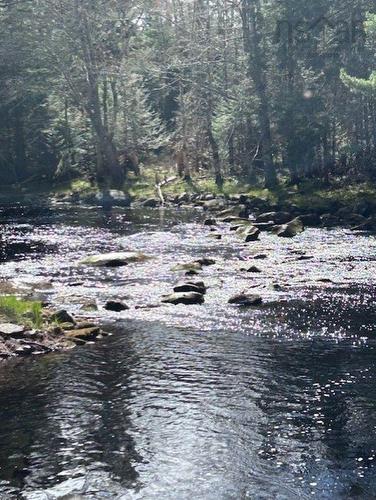 Brier Hill Road, Upper Clyde, NS 