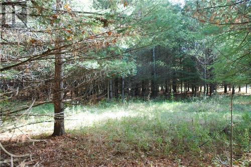 Lot 2 Watsons Corners Road, Lanark, ON 