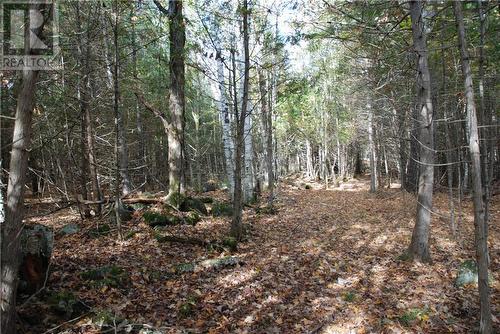 Lot 1 Watsons Corners Road, Lanark, ON 