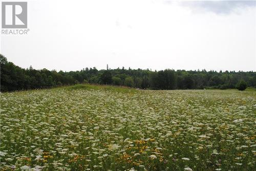 1505 Sheridan Rapids Road, Lanark Highlands, ON - Outdoor With View