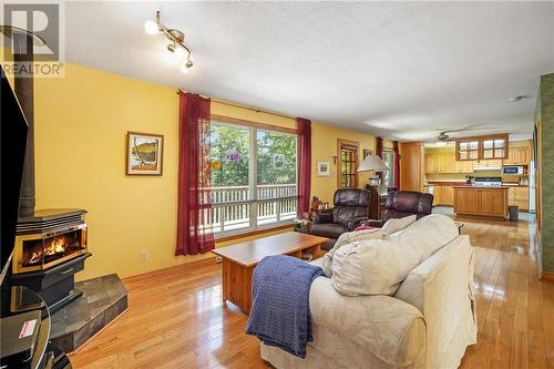 226 Little Silver Lake Road, Lanark, ON - Indoor Photo Showing Living Room With Fireplace